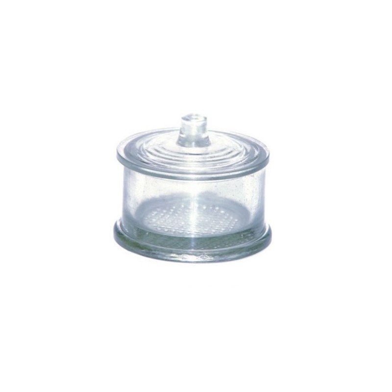 Pote Paladon