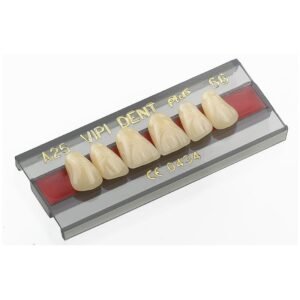 Dentes Acrílicos - Dent Plus