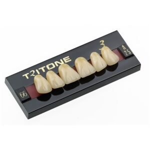 Dentes Acrílicos - Tritone